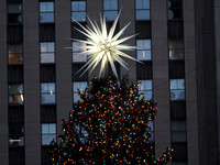 Rockefeller Christmas Tree 2021