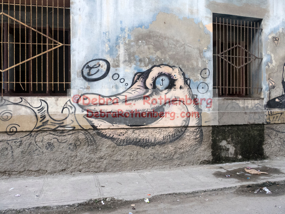 Old Havana Cuba January 2020 -417
