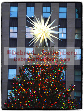 Rockefeller Christmas Tree 2021-003