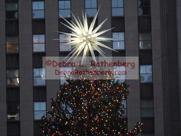 Rockefeller Christmas Tree 2021-001