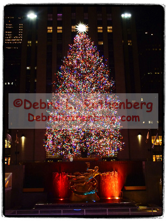 Rockefeller Christmas Tree 2021-006