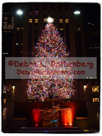 Rockefeller Christmas Tree 2021-007