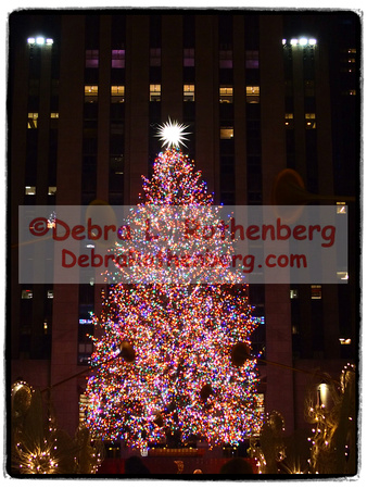 Rockefeller Christmas Tree 2021-010