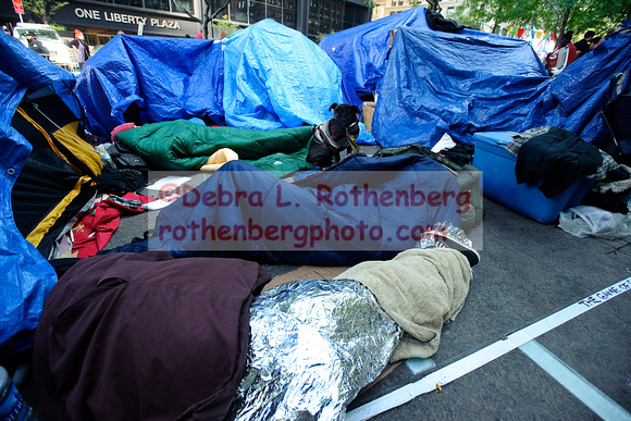 OccupyWallStreet_DLR-007